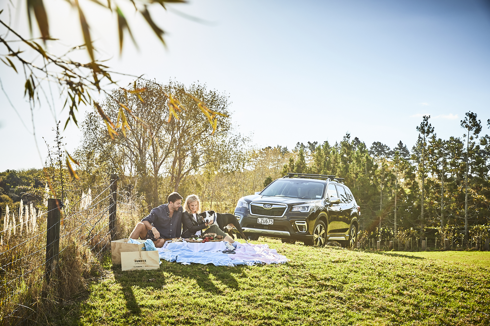 Art and Matilda Subaru Date Box Challenge - take a picnic together. Art and Matilda Subaru Date Box Challenge - take a picnic together.