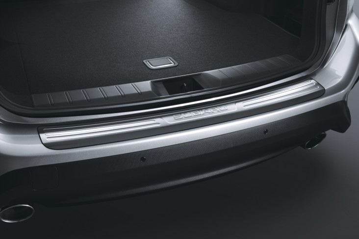 Rear Step Panel - Stainless