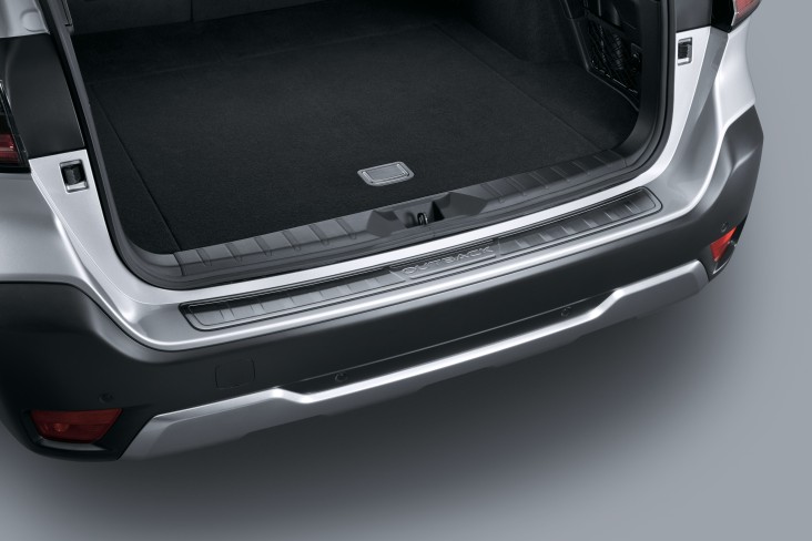 Rear Step Panel (Stainless) 
