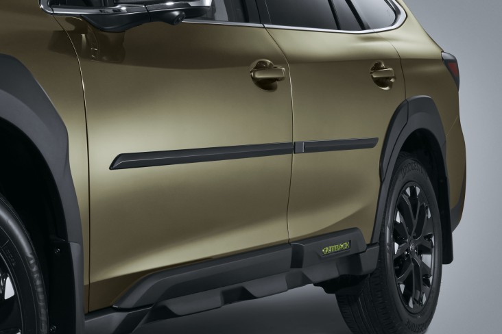 Body Side Moulding