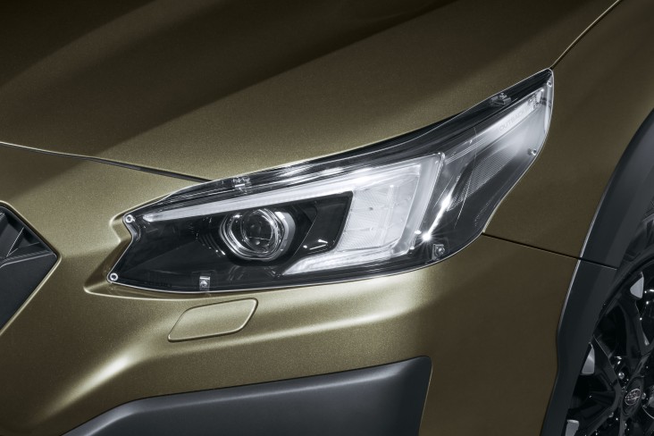 Headlamp Protectors