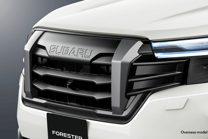 Accessory Grille 