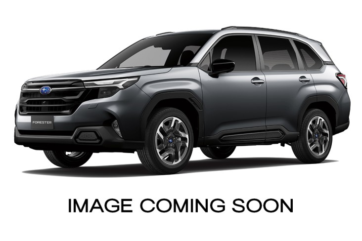 Image Coming Soon