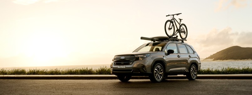 1/3 1/3 1/3. Forester at 0%