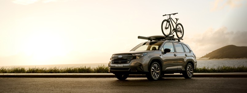 1/3 1/3 1/3 on Forester