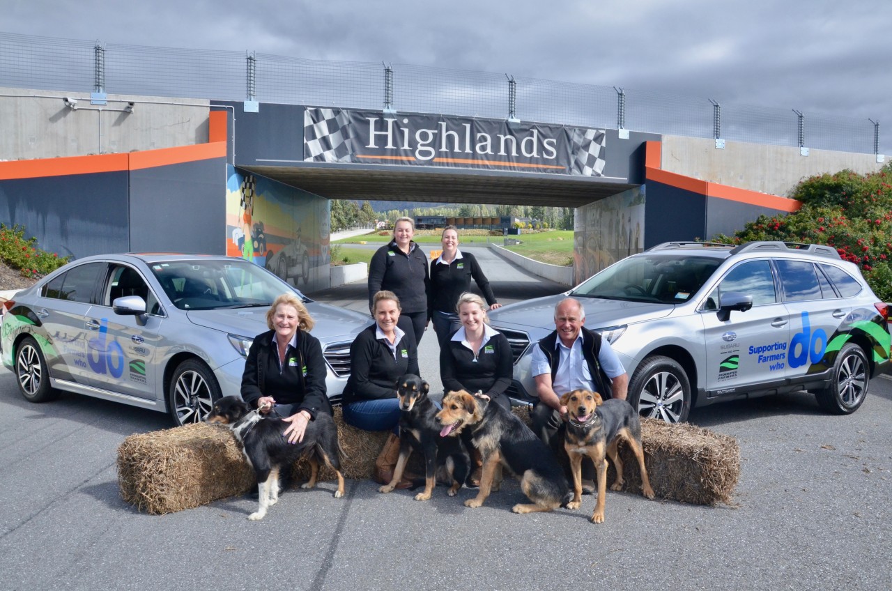 Federated Farmers Territory Managers with their new Subaru vehicles