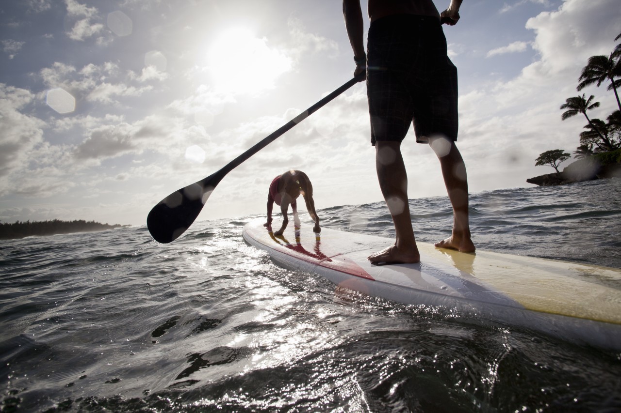 Subaru do paddling boarding