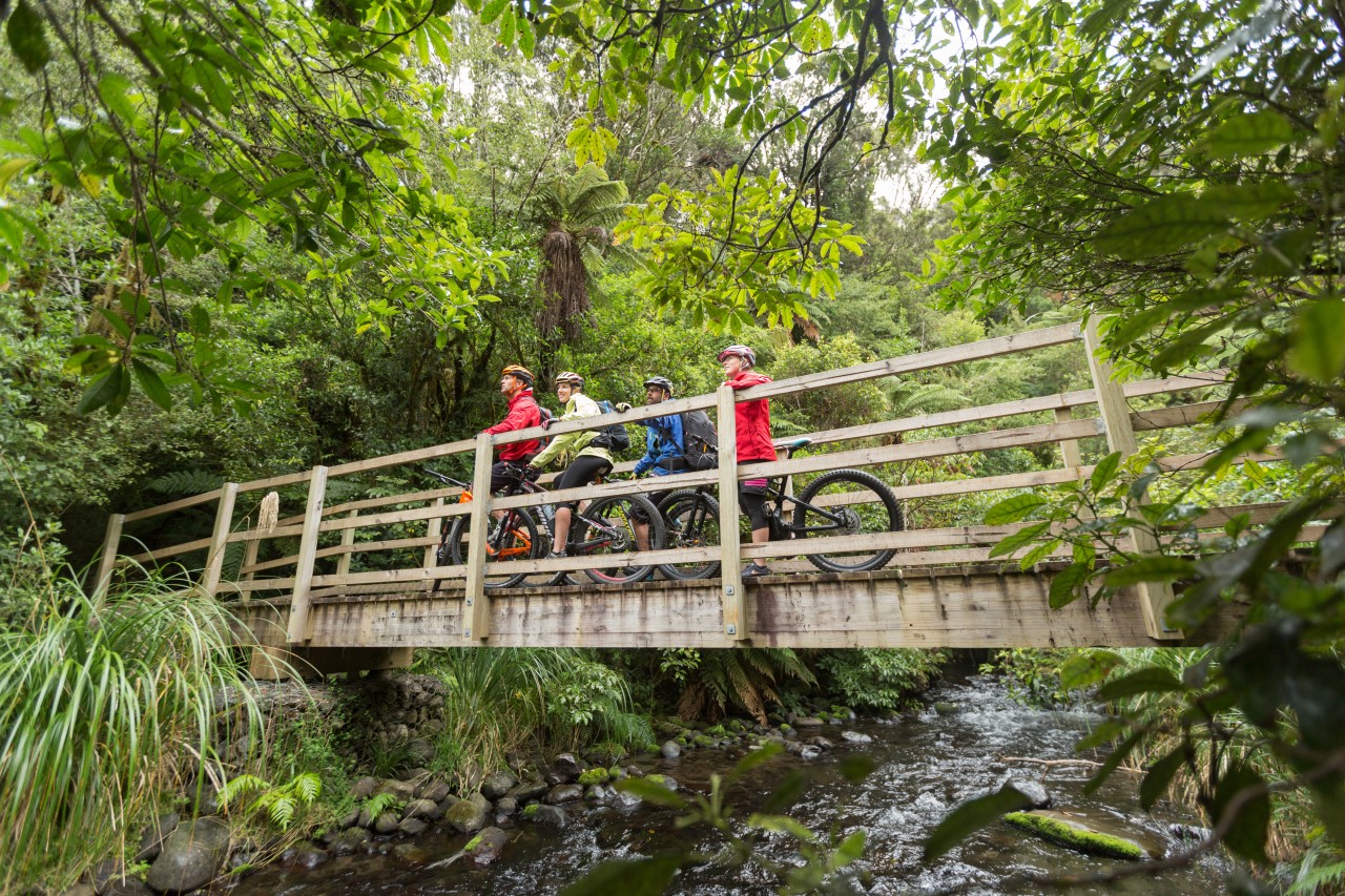 TCB have trails to suit all levels, including the Old Coach Road in Ohakune. TCB have trails to suit all levels, including the Old Coach Road in Ohakune.