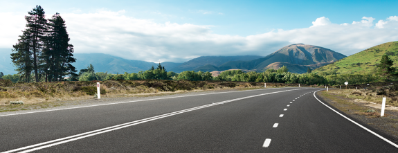 Country Road Landscape