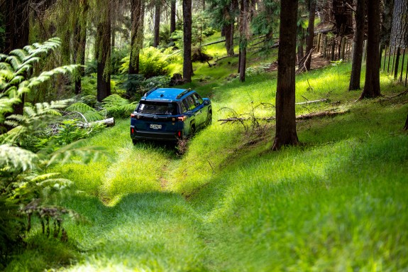 Outback Wilderness rear in forest