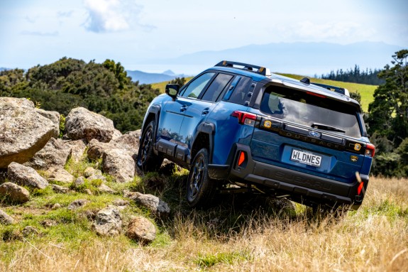 Outback Wilderness on Rocks