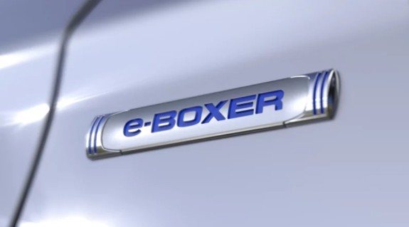 eboxer badge eboxer badge